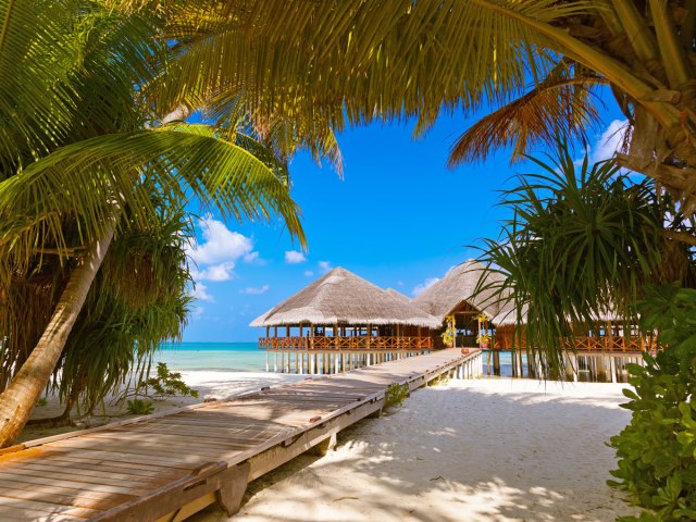 Palm trees on sandy beach with path to overwater huts in the Maldives