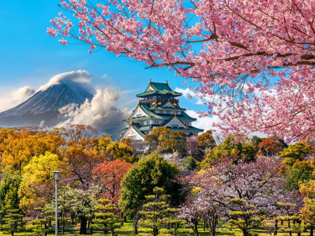 Temple in Japan surrounded by cherry blossom trees with mountain in distance