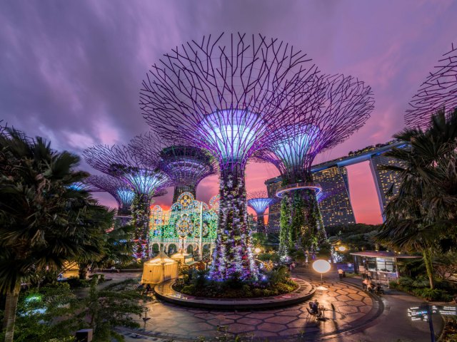 Singapores "Supertrees" decorated for the holidays