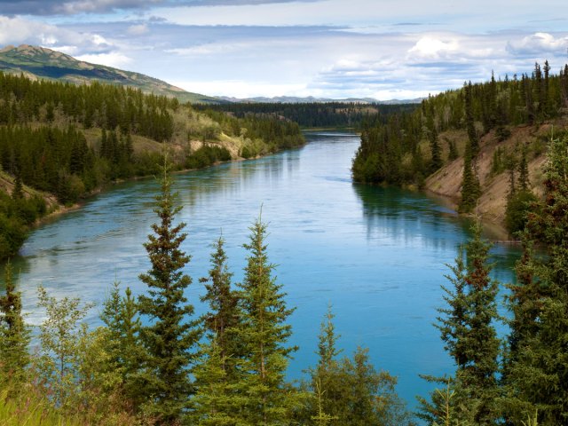 Aerial view of the Yukon River surrounded by forest