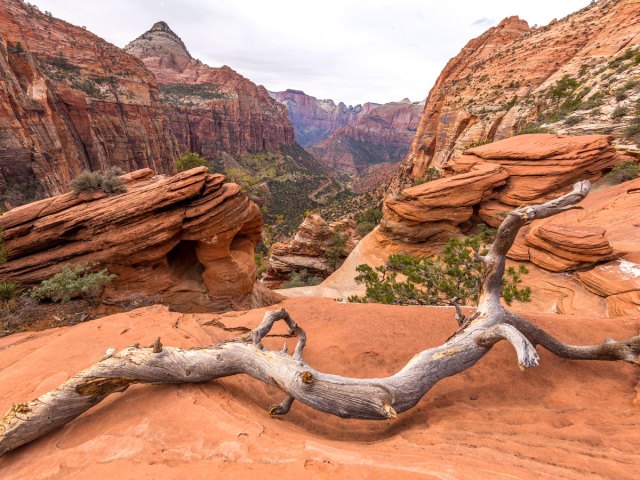 View of the Narrows canyon in Zion National Park