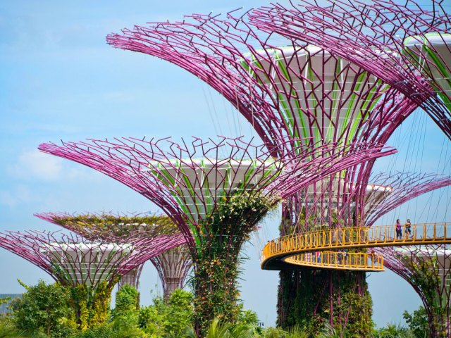 OCBC Skyway winding through the "Supertrees" of Singapore's Gardens by the Bay