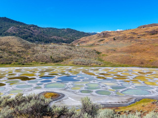 Image of Spotted Lake in British Columbia, Canada