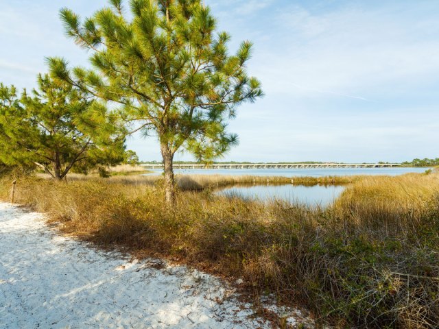 Philips Inlet in the North Florida panhandle