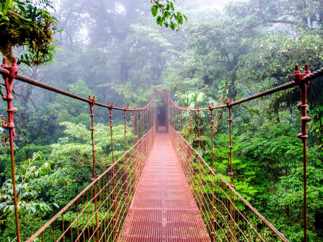 Suspension bridge through Santa Elena Cloud Forest in Costa Rica