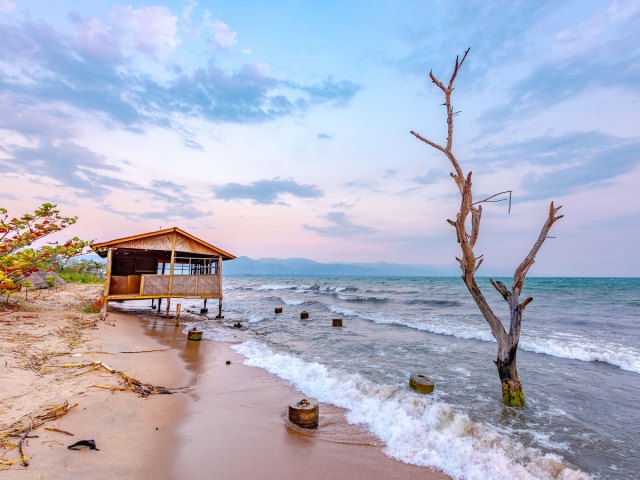 Barren tree and hut on stilts on beach on Lake Tanganyika in Burundi