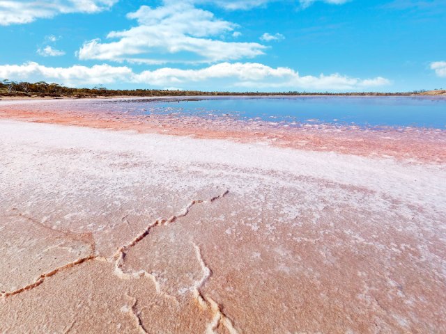 Pink salt deposits of lake in Australia's Murray-Sunset National Park