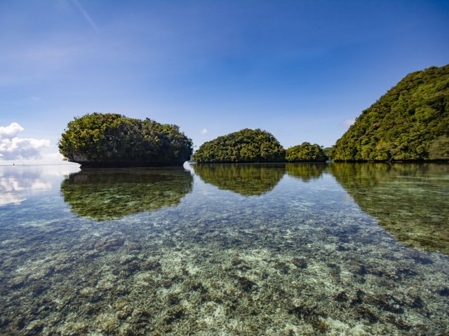 Tropical islands and translucent waters in Palau