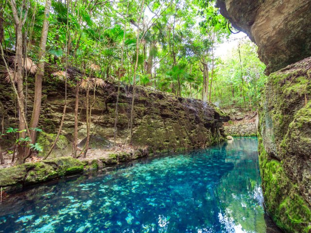 Image of a cenote in Mexican jungle