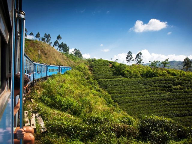 Train on hillside of tea plantation in Sri Lanka