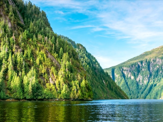 Fjords of Alaska covered in evergreen trees
