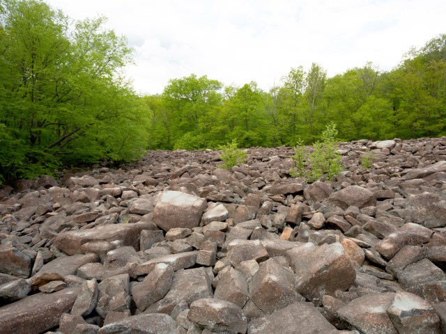 Gray stone of Ringing Rocks Park in Pennsylvania surrounded by green trees
