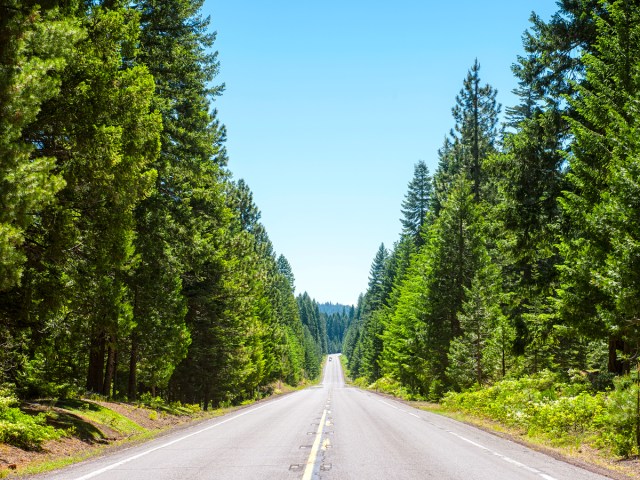 Empty two-lane highway lined with towering trees in Redding, California