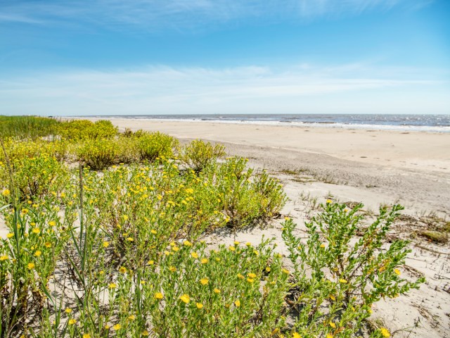 Sandy Louisiana beach along Gulf of Mexico