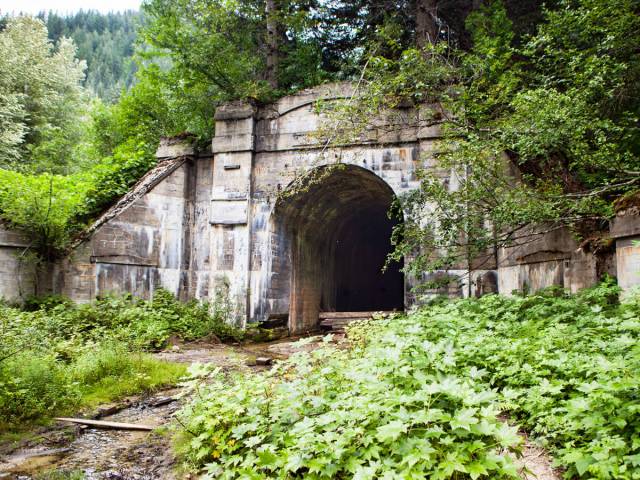 Entrance to Cascade Tunnel in Washington covered with foliage