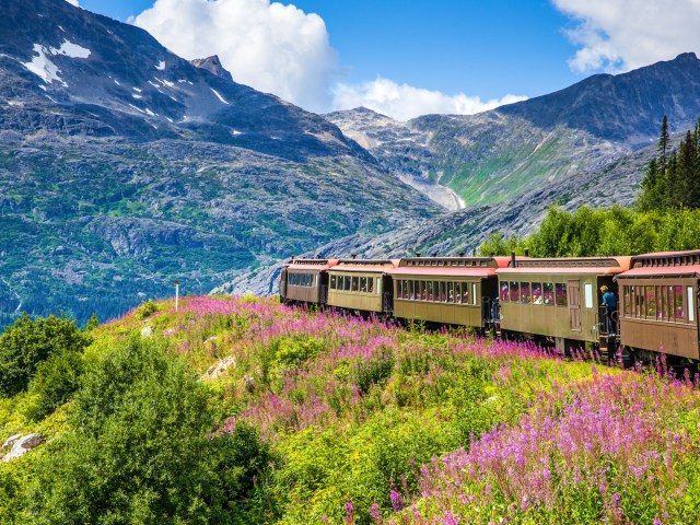 Vintage rail car traveling by flowering fields and mountains in Alaska