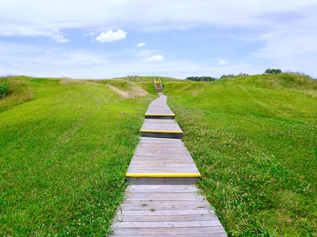 Wooden pathway on grassy hill leading to Monumental Earthworks of Poverty Point in Louisiana