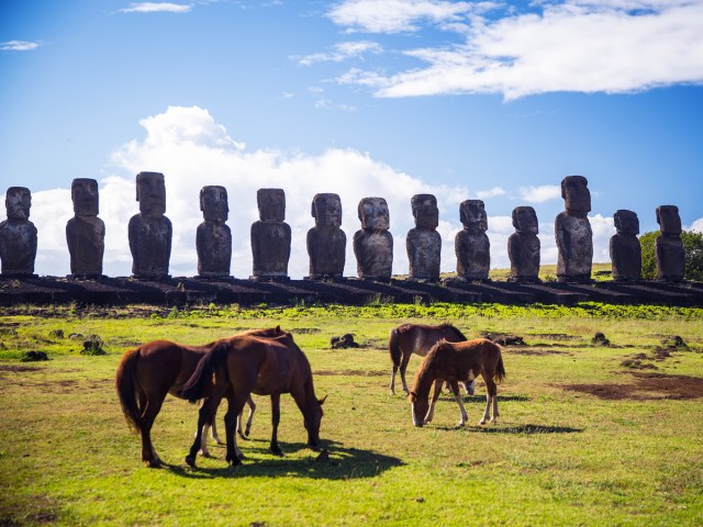 Horses grazing on Easter Island with moai statues in background