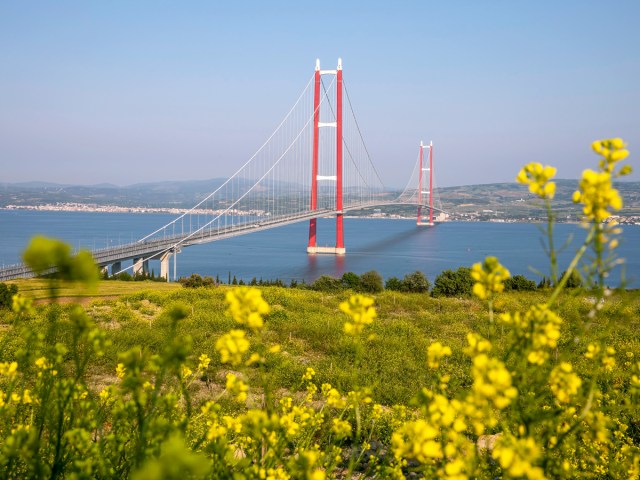 View of the 1915 Çanakkale Bridge in Turkey from flower-covered hill