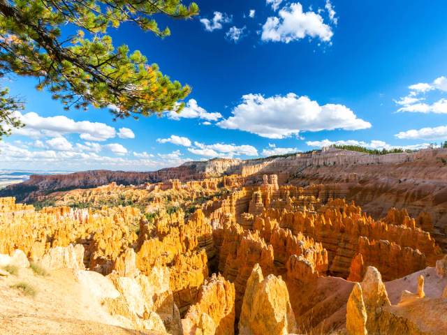 Hoodoo rock formations in Utah's Bryce Canyon National Park