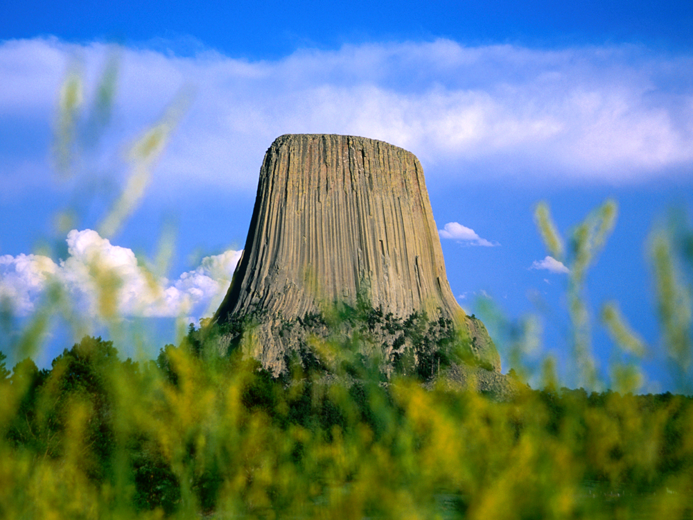 View of Devils Tower National Monument beyond plants
