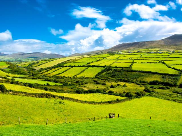 Aerial view of bright green pastures in Ireland