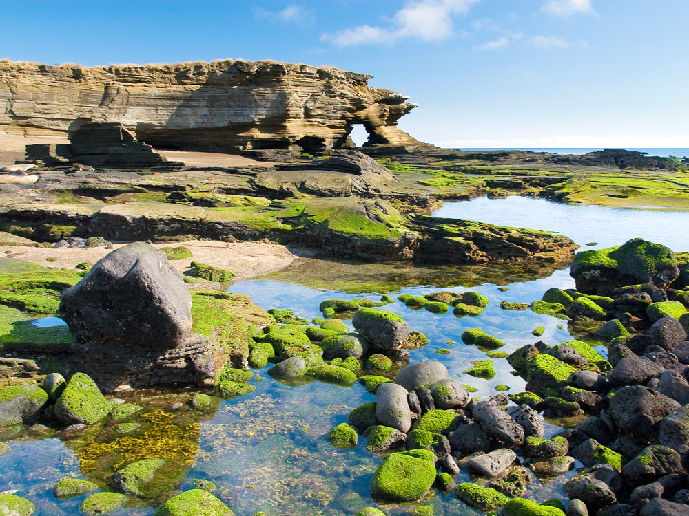 Tidal pools and rock formations along the coast of the Galápagos Islands in Ecuador
