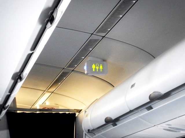 View of airplane lavatory sign
