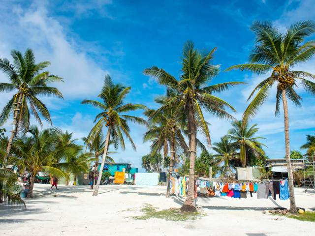 Palm trees and homes on sandy beach in Funafuti, Tuvalu