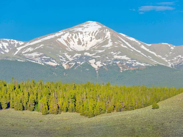 Forest in foreground and snow-capped Mount Elbert in Colorado in background