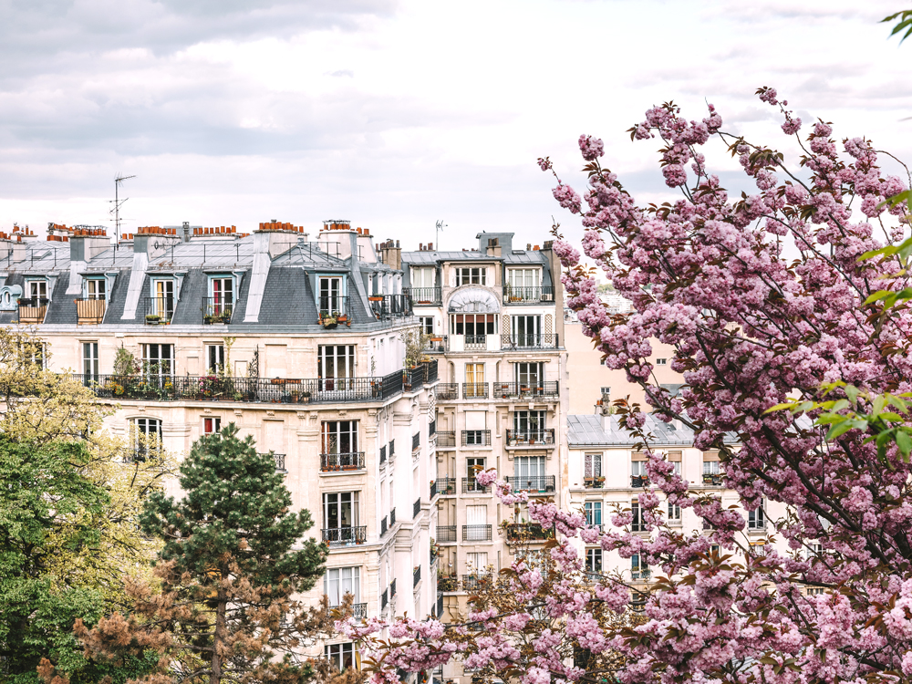 Flowering plants over balconies of apartment buildings in Paris, France