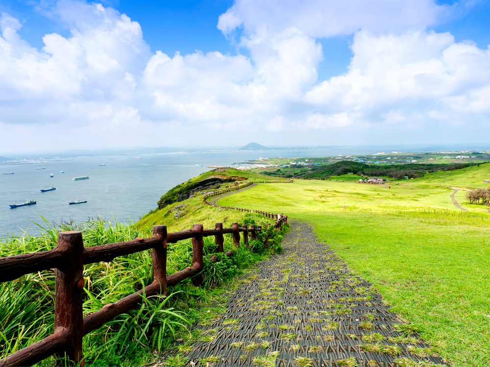 Pathway along cliff and lush fields overlooking sea on Jeju Island, South Korea
