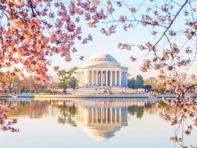 Jefferson Memorial in Washington, D.C., seen under cherry blossoms from across Tidal Basin
