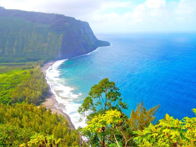Overview of tall coastal cliffs and rainforest on Big Island of Hawaii