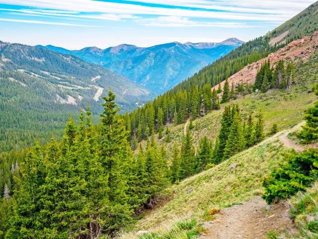 Forested mountainside on Wheeler Peak in New Mexico