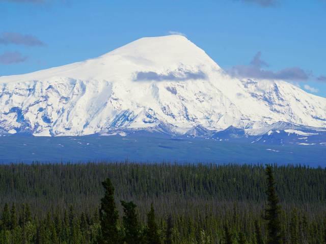 Snow-capped Mount Sanford in Alaska seen beyond forest treetops