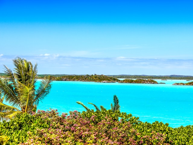 Turquoise bay in Turks and Caicos, seen above tree tops