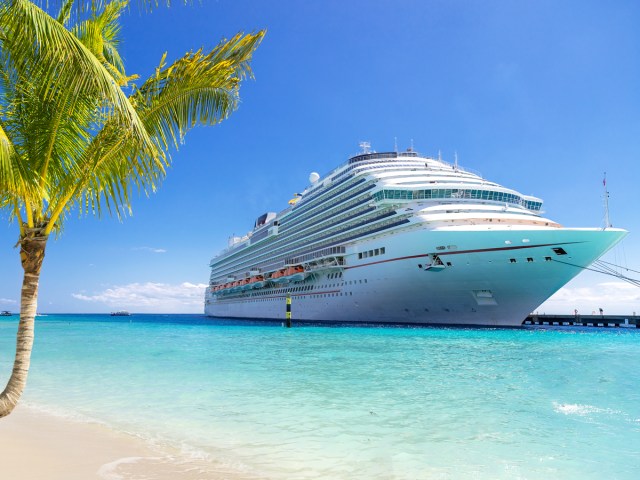 Cruise ship at port next to sandy beach with palm tree