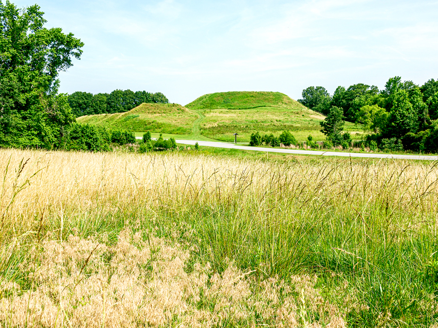 Tall grasses with ceremonial mounds in background at Ocmulgee Mounds National Historical Park in Georgia