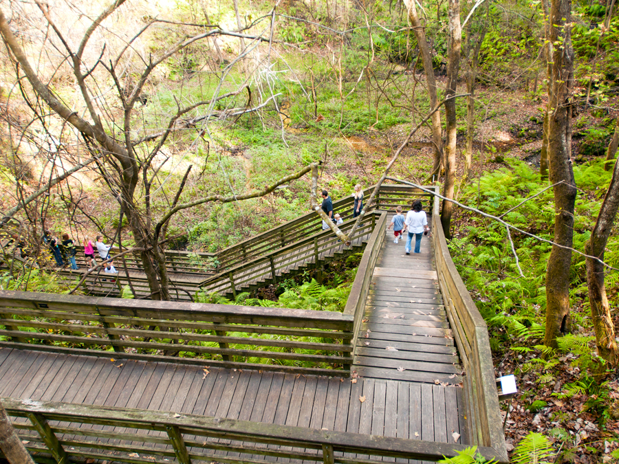 People descending stairs to visit Devil's Millhopper underground waterfall in Florida