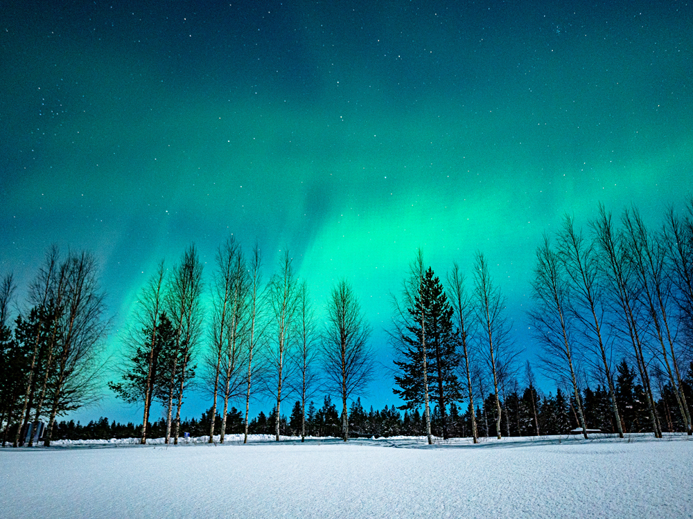 Northern lights seen over snowy landscape at night in Finland