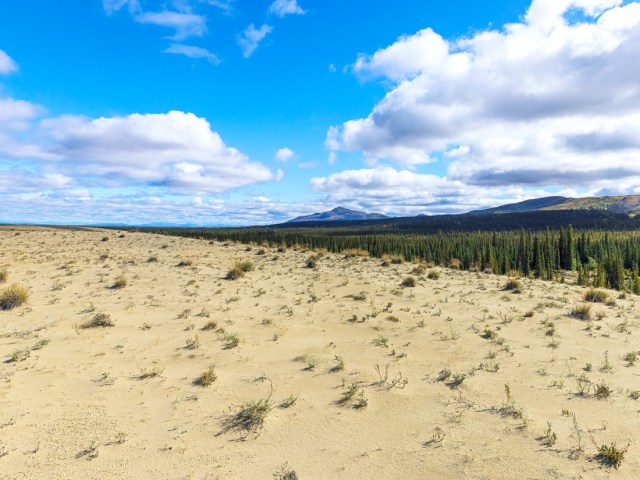 Sandy landscape in Kobuk Valley National Park, Alaska