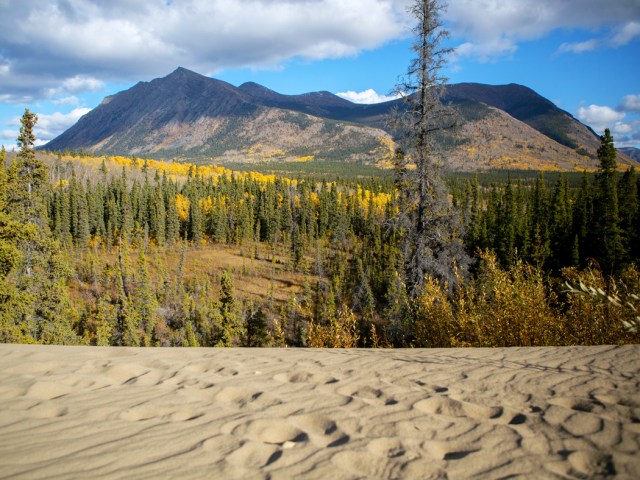 Carcross Desert landscape in Canada's Yukon Territory, surrounded by pine trees and mountains