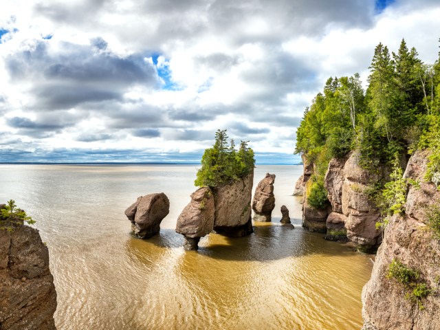 Plant covered sea stacks in Bay of Fundy, Canada