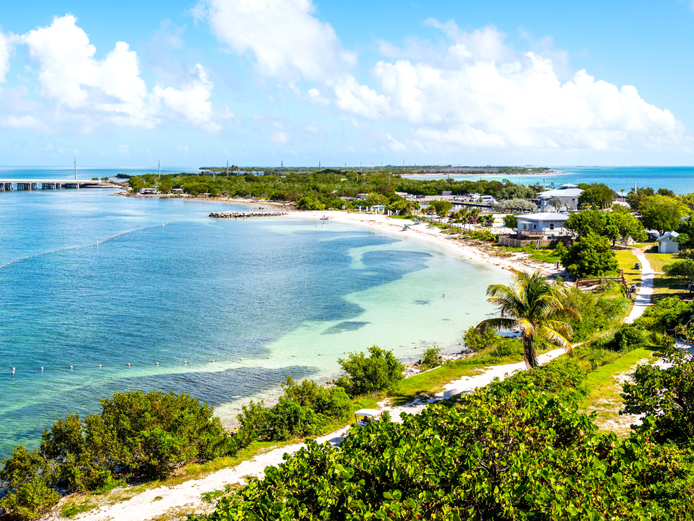 Aerial view of palm trees, homes, and sandy beach in the Florida Keys