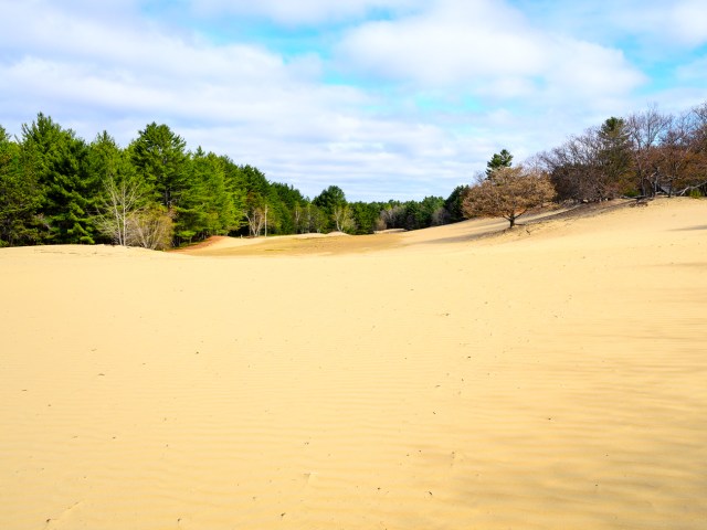 Sand dunes surrounded by pine trees in the Desert of Maine