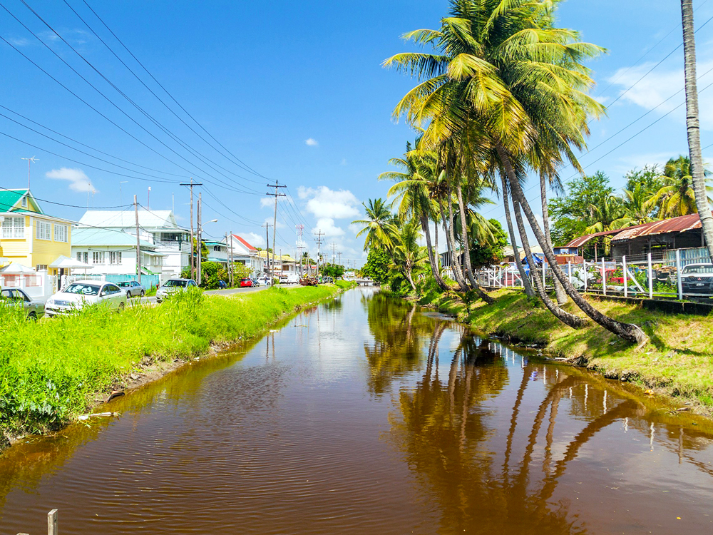 Homes and palm trees lining creek in Guyana