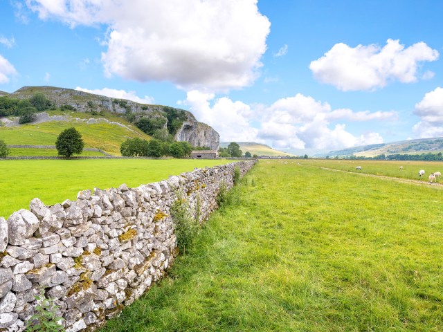 Stone wall stretching across grassy field in New England