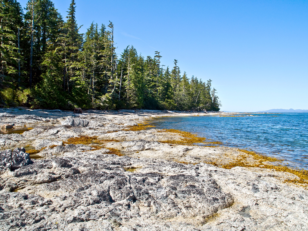 Rocky coastline of Kitasu Bay in British Columbia, Canada