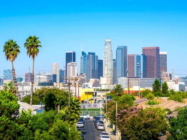 Downtown Los Angeles skyline framed by palm trees